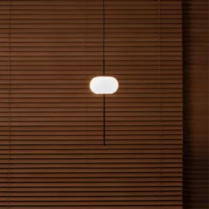 Timeless Glowing Oval Pendant Light